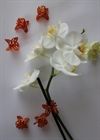 6 stk. Plast orkide spænder/klips. Varm orange. Du får 6 stk. for 7,75 kr.
